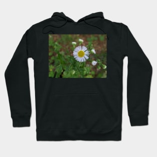 White and Yellow Wild Flowers Hoodie